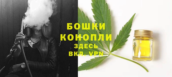 мескалин Бородино
