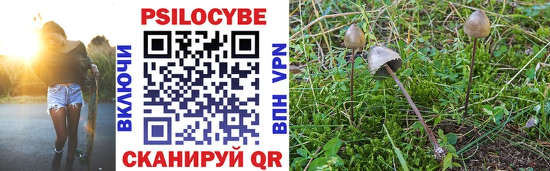 где можно купить наркотик  Сосногорск  Галлюциногенные грибы GOLDEN TEACHER 